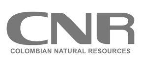 LOGO CNR